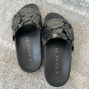 Coach Sophi Slides with Tea Rose Black Size 6